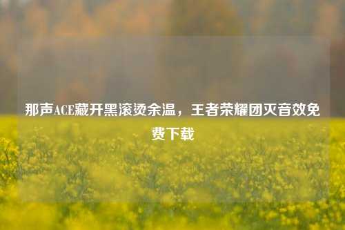 那声ACE藏开黑滚烫余温,王者荣耀团灭音效免费下载