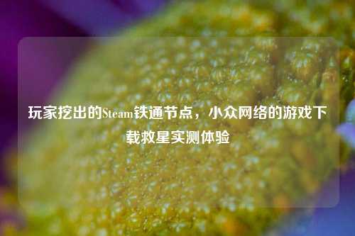 玩家挖出的Steam铁通节点,小众网络的游戏下载救星实测体验