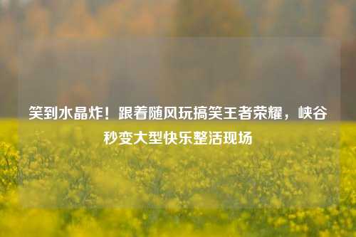 笑到水晶炸!跟着随风玩搞笑王者荣耀,峡谷秒变大型快乐整活现场