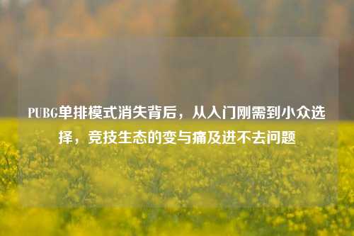 PUBG单排模式消失背后，从入门刚需到小众选择，竞技生态的变与痛及进不去问题