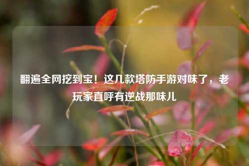 翻遍全网挖到宝!这几款塔防手游对味了,老玩家直呼有逆战那味儿