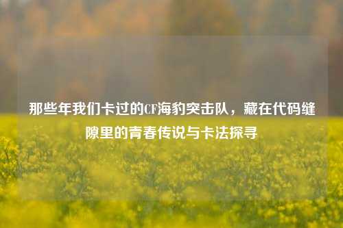 那些年我们卡过的CF海豹突击队,藏在代码缝隙里的青春传说与卡法探寻