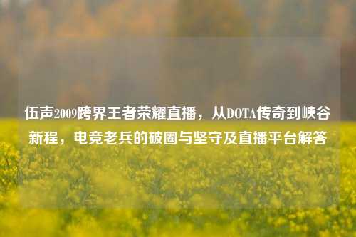 伍声2009跨界王者荣耀直播,从DOTA传奇到峡谷新程,电竞老兵的破圈与坚守及直播平台解答