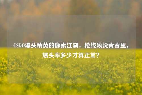 CSGO爆头精英的像素江湖，枪线滚烫青春里，爆头率多少才算正常？