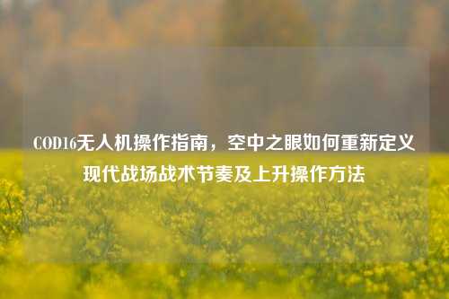 COD16无人机操作指南,空中之眼如何重新定义现代战场战术节奏及上升操作方法