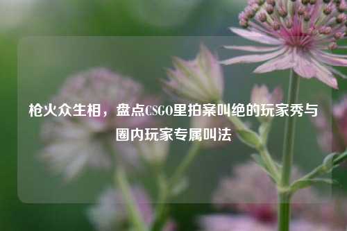 枪火众生相,盘点CSGO里拍案叫绝的玩家秀与圈内玩家专属叫法