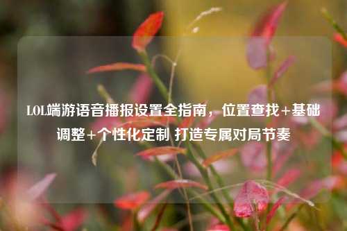 LOL端游语音播报设置全指南,位置查找+基础调整+个性化定制 打造专属对局节奏