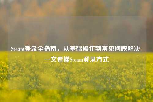 Steam登录全指南,从基础操作到常见问题解决 一文看懂Steam登录方式
