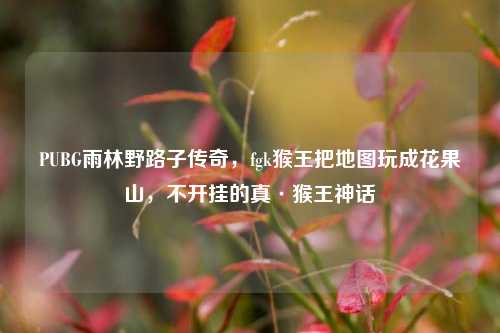 PUBG雨林野路子传奇,fgk猴王把地图玩成花果山,不开挂的真·猴王神话