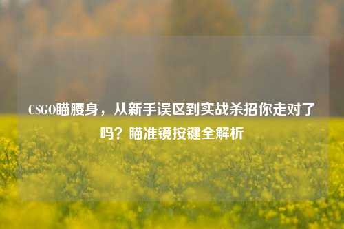 CSGO瞄腰身,从新手误区到实战杀招你走对了吗?瞄准镜按键全解析