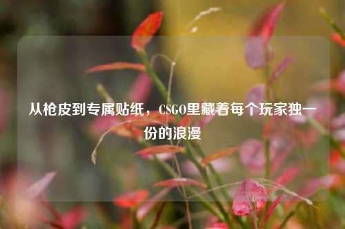 从枪皮到专属贴纸,CSGO里藏着每个玩家独一份的浪漫