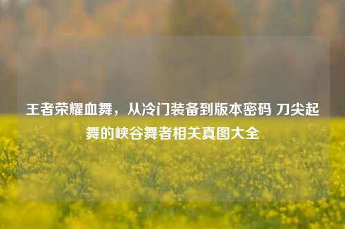 王者荣耀血舞，从冷门装备到版本密码 刀尖起舞的峡谷舞者相关真图大全