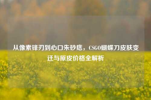 从像素锋刃到心口朱砂痣,CSGO蝴蝶刀皮肤变迁与原皮价格全解析