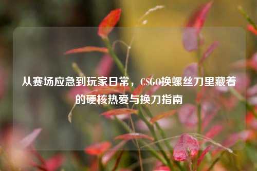 从赛场应急到玩家日常，CSGO换螺丝刀里藏着的硬核热爱与换刀指南