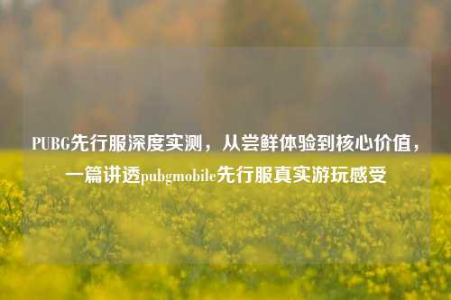 PUBG先行服深度实测,从尝鲜体验到核心价值,一篇讲透pubgmobile先行服真实游玩感受