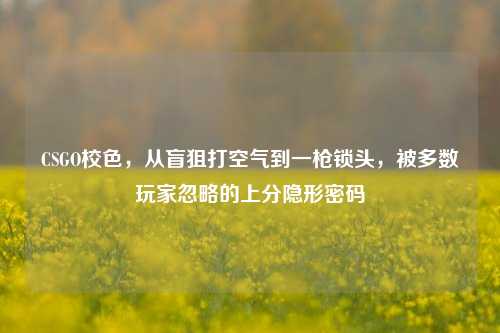 CSGO校色,从盲狙打空气到一枪锁头,被多数玩家忽略的上分隐形密码