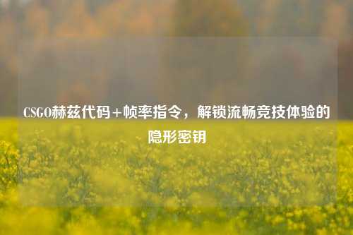 CSGO赫兹代码+帧率指令,解锁流畅竞技体验的隐形密钥