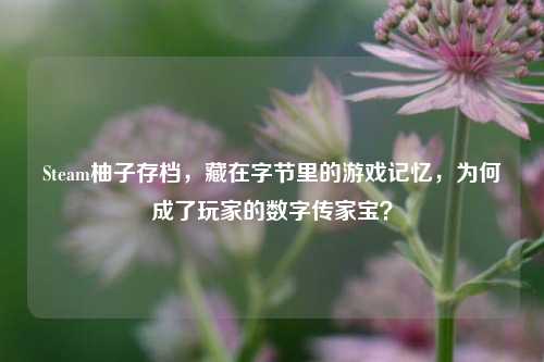 Steam柚子存档,藏在字节里的游戏记忆,为何成了玩家的数字传家宝?