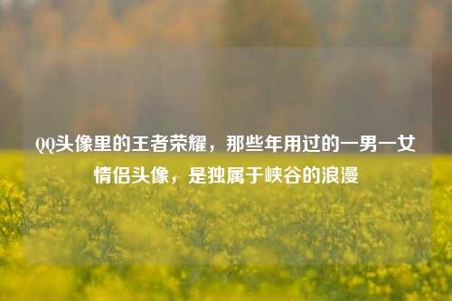 QQ头像里的王者荣耀,那些年用过的一男一女情侣头像,是独属于峡谷的浪漫