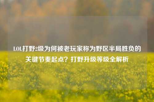LOL打野2级为何被老玩家称为野区半局胜负的关键节奏起点？打野升级等级全解析