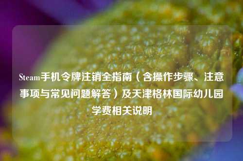 Steam手机令牌注销全指南(含操作步骤、注意事项与常见问题解答)及天津格林国际幼儿园学费相关说明