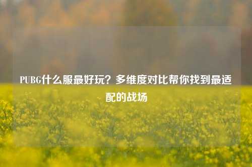 PUBG什么服最好玩？多维度对比帮你找到最适配的战场