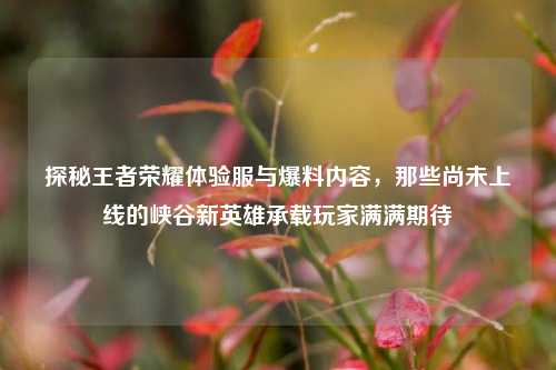 探秘王者荣耀体验服与爆料内容,那些尚未上线的峡谷新英雄承载玩家满满期待