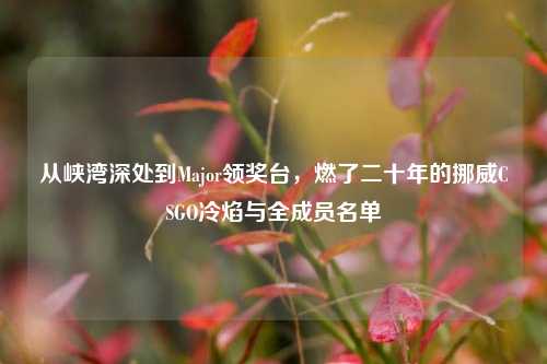 从峡湾深处到Major领奖台,燃了二十年的挪威CSGO冷焰与全成员名单
