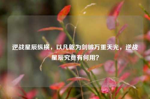 逆战星辰纵横,以凡躯为剑破万重天光,逆战星辰究竟有何用?