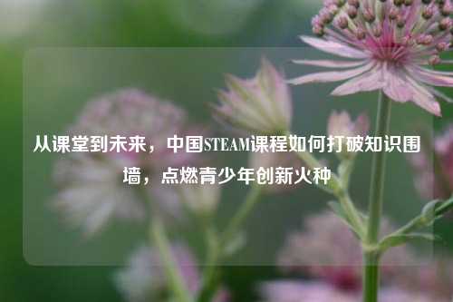 从课堂到未来，中国STEAM课程如何打破知识围墙，点燃青少年创新火种