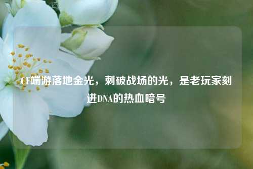 CF端游落地金光,刺破战场的光,是老玩家刻进DNA的热血暗号