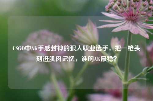CSGO中AK手感封神的狠人职业选手,把一枪头刻进肌肉记忆,谁的AK最稳?