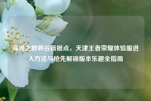 海河之畔峡谷新据点，天津王者荣耀体验服进入方法与抢先解锁版本乐趣全指南