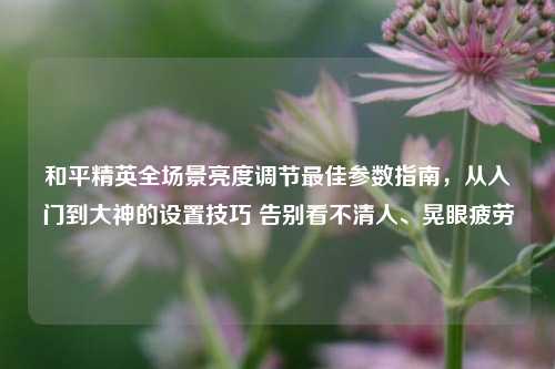 和平精英全场景亮度调节最佳参数指南,从入门到大神的设置技巧 告别看不清人、晃眼疲劳