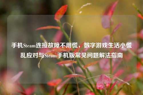 手机Steam连接故障不用慌，数字游戏生活小慌乱应对与Steam手机版常见问题解法指南