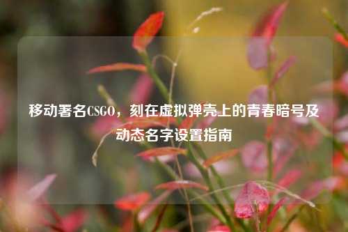 移动署名CSGO,刻在虚拟弹壳上的青春暗号及动态名字设置指南