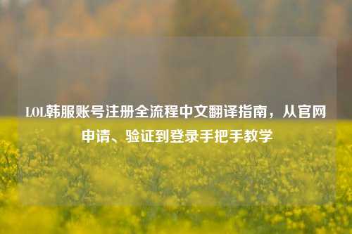 LOL韩服账号注册全流程中文翻译指南,从官网申请、验证到登录手把手教学