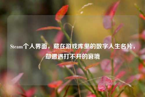 Steam个人界面,藏在游戏库里的数字人生名片,却遭遇打不开的窘境