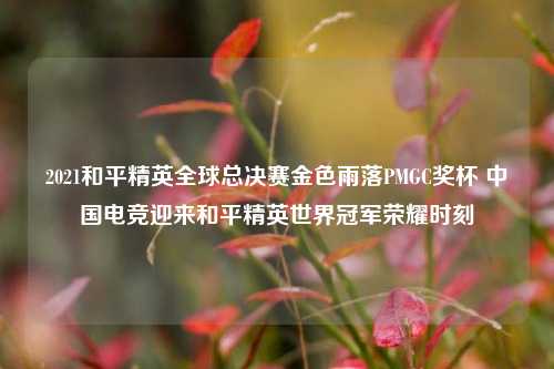 2021和平精英全球总决赛金色雨落PMGC奖杯 中国电竞迎来和平精英世界冠军荣耀时刻