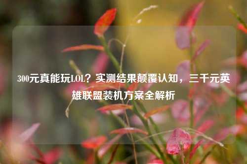 300元真能玩LOL?实测结果颠覆认知,三千元英雄联盟装机方案全解析