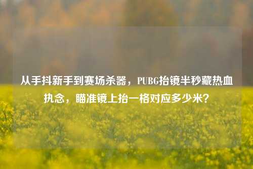 从手抖新手到赛场杀器,PUBG抬镜半秒藏热血执念,瞄准镜上抬一格对应多少米?