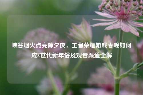 峡谷烟火点亮除夕夜,王者荣耀游戏春晚如何成Z世代新年俗及观看渠道全解