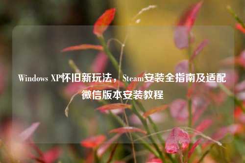 Windows XP怀旧新玩法,Steam安装全指南及适配微信版本安装教程