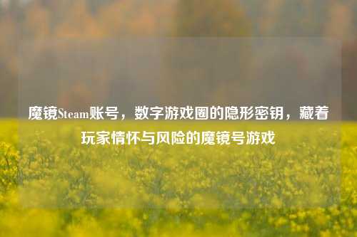 魔镜Steam账号，数字游戏圈的隐形密钥，藏着玩家情怀与风险的魔镜号游戏