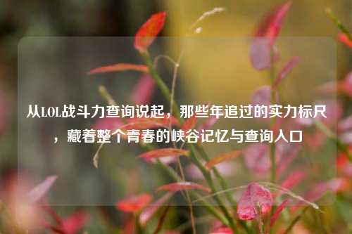 从LOL战斗力查询说起,那些年追过的实力标尺,藏着整个青春的峡谷记忆与查询入口