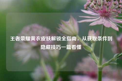 王者荣耀黄衣皮肤解锁全指南,从获取条件到隐藏技巧一篇看懂