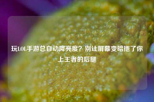 玩LOL手游总自动降亮度？别让屏幕变暗拖了你上王者的后腿