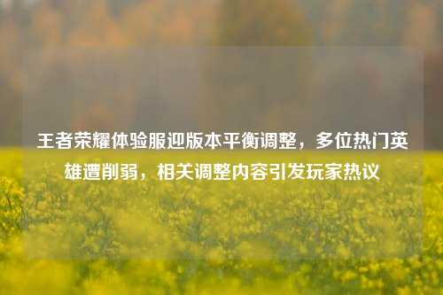王者荣耀体验服迎版本平衡调整,多位热门英雄遭削弱,相关调整内容引发玩家热议
