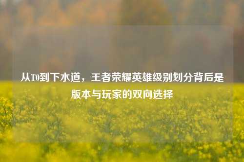从T0到下水道，王者荣耀英雄级别划分背后是版本与玩家的双向选择