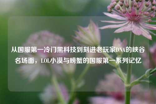 从国服第一冷门黑科技到刻进老玩家DNA的峡谷名场面，LOL小漠与螃蟹的国服第一系列记忆